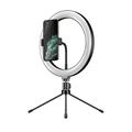 APEXEL APL-FL10JJ13Y 26cm LED Ringlicht Fotografie Selfie Fill Light mit Stativ Telefonhalterung